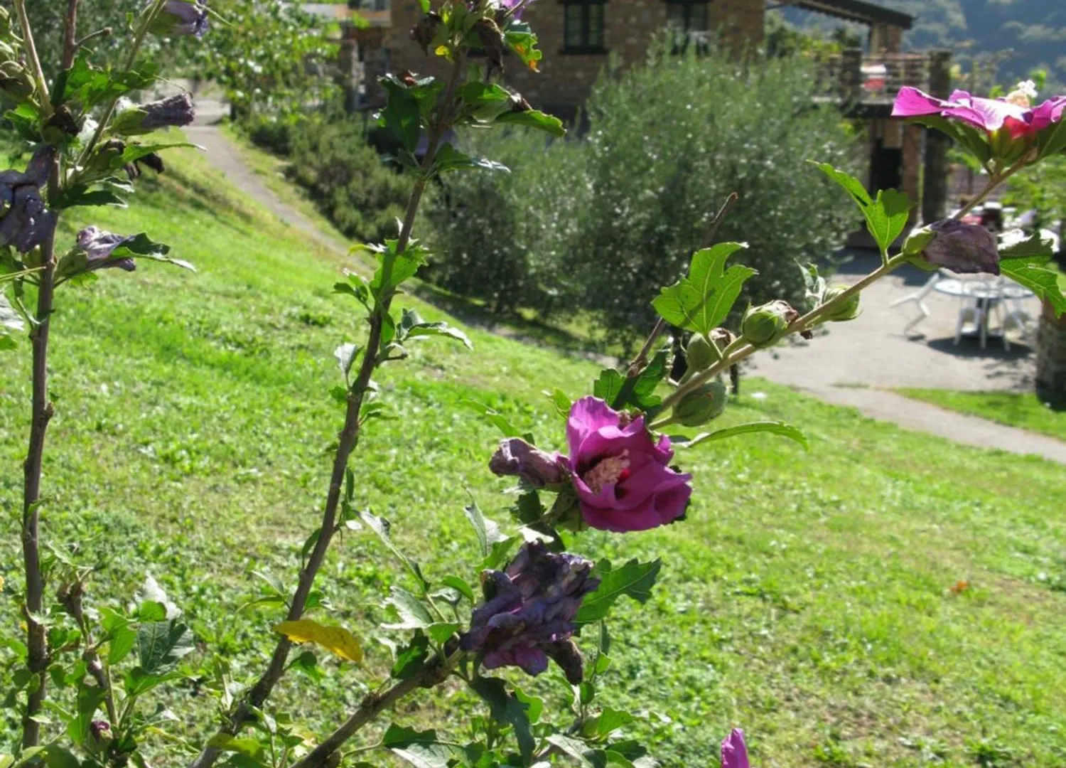 Chalet Della Rota Marone 0*,  Italy